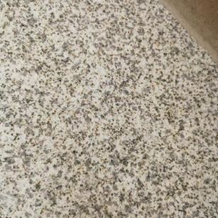 滁州 黄金麻中黄光面