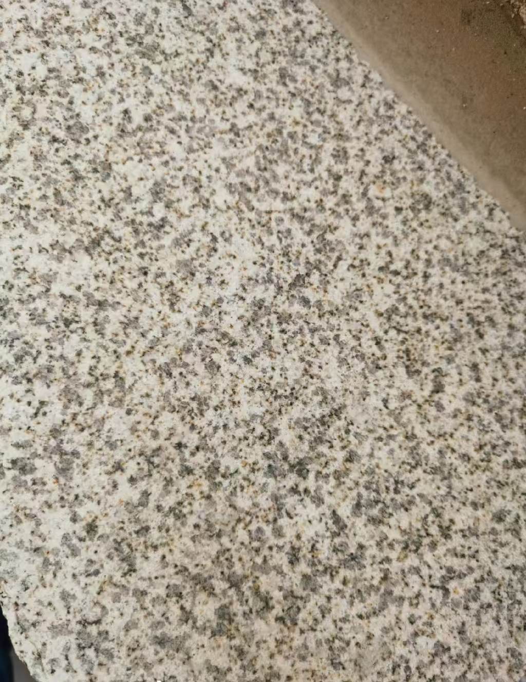 滁州 黄金麻中黄光面